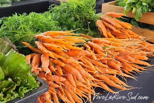 Public market vegetables
